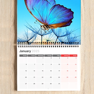 Wall Calendar Wire-O (Center Bound) - 13 month